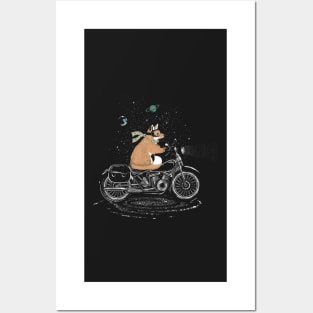 Fox on the motorcycle Posters and Art